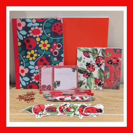 Ladybird Bundle